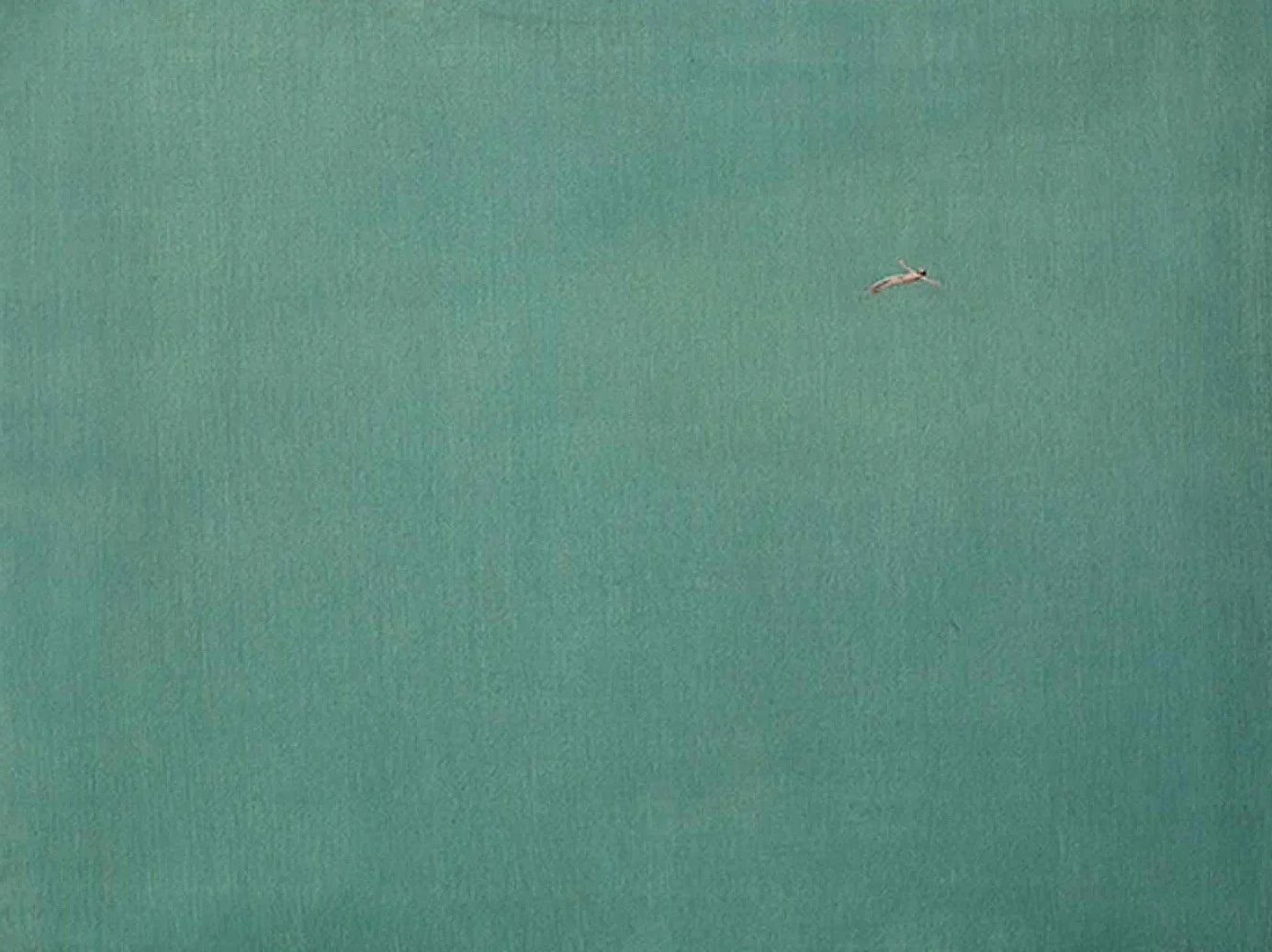 Ocean Landscape Poster