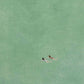Ocean Landscape Poster